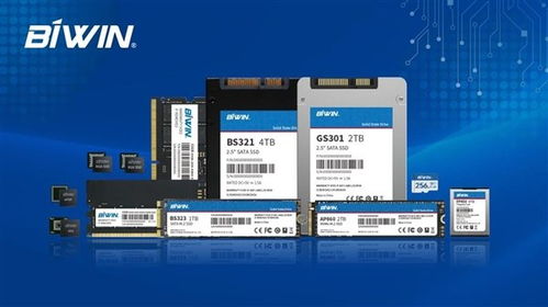 國(guó)產(chǎn)半導(dǎo)體龍頭企業(yè)佰維存儲(chǔ)向港交所提交上市申請(qǐng)書，拓展信息技術(shù)咨詢服務(wù)市場(chǎng)